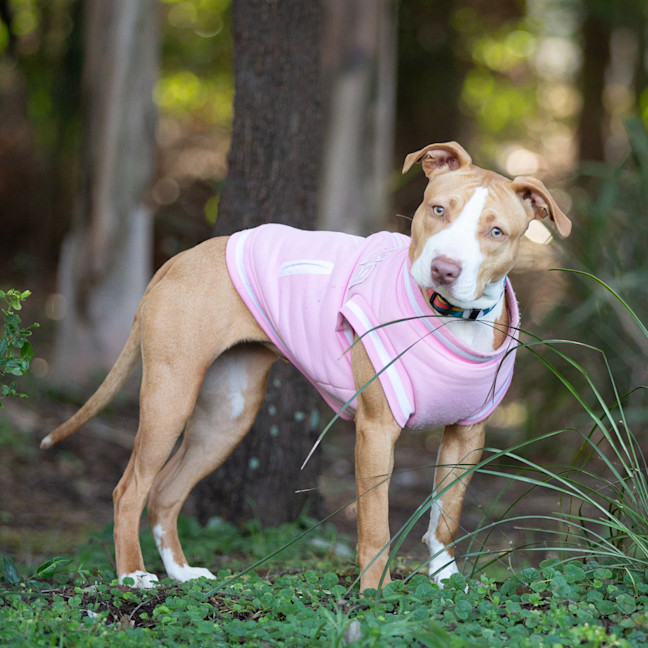 Photo of Bonnie