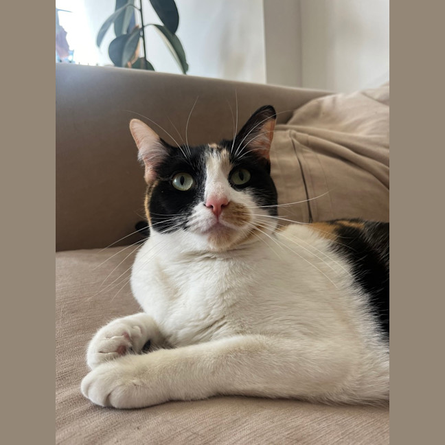 Photo of Bianca