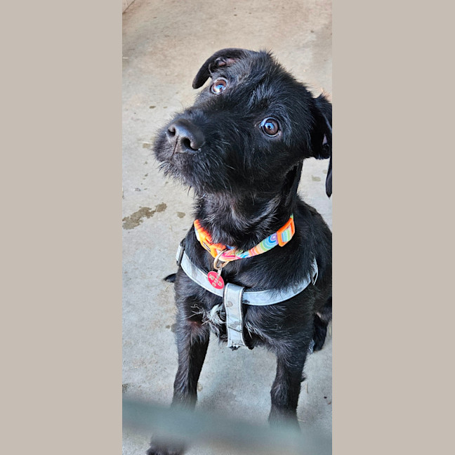Photo of Maisey