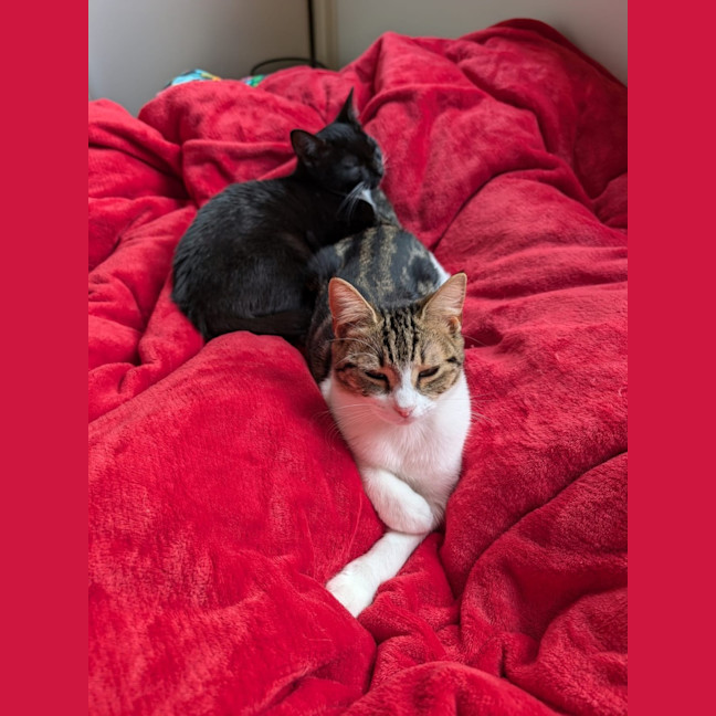 Photo of Honey & Rory 🥰