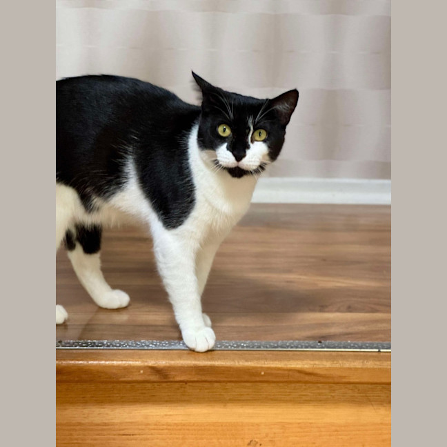 Photo of Elsie & Bee 