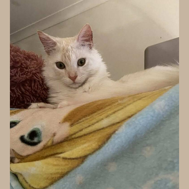 Photo of Mr Wimberley 