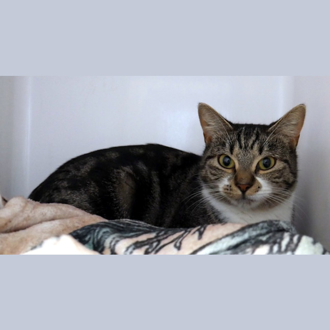 Photo of Marcy Sta014910
