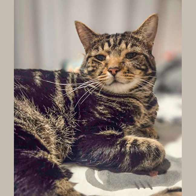 Photo of Buddy