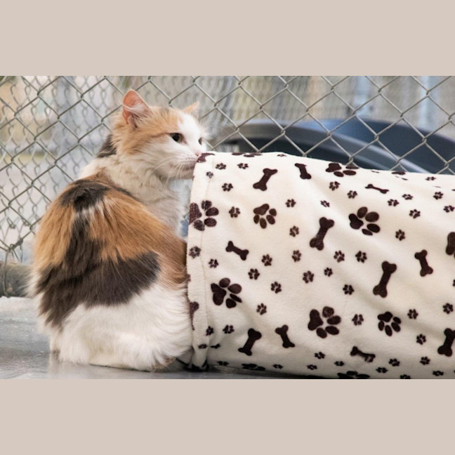 Photo of Ruth Russelton