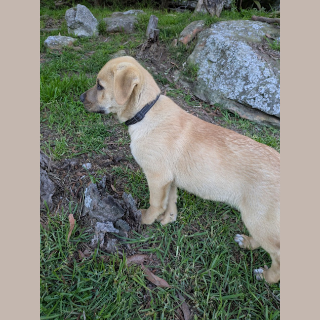 Photo of Avery