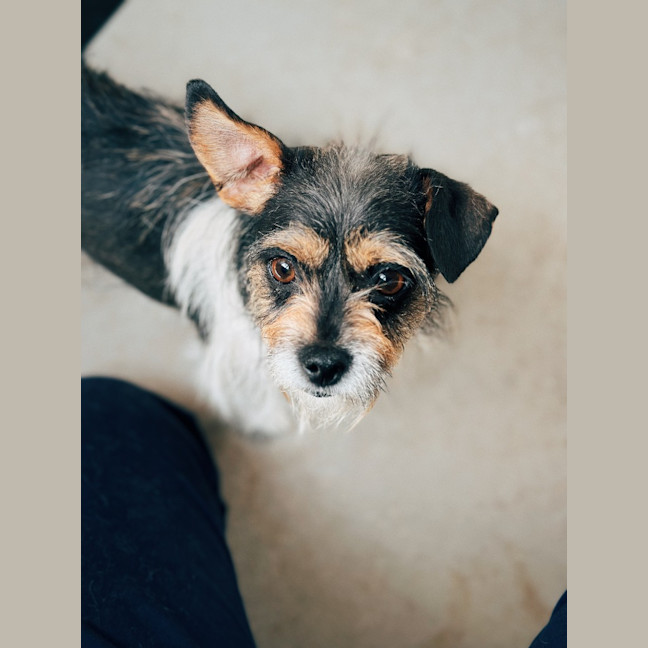 Photo of Roxy