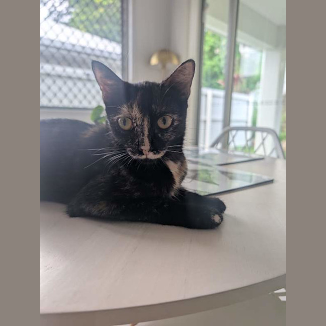 Photo of Olive