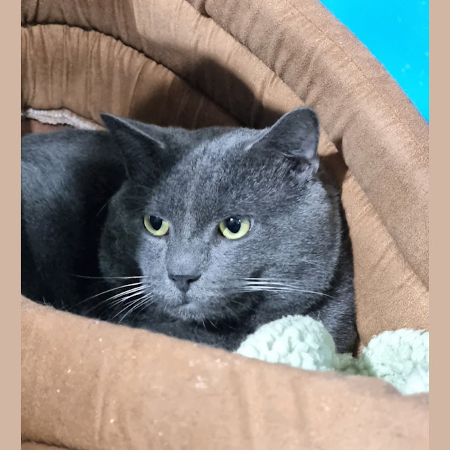 Photo of Vinnie
