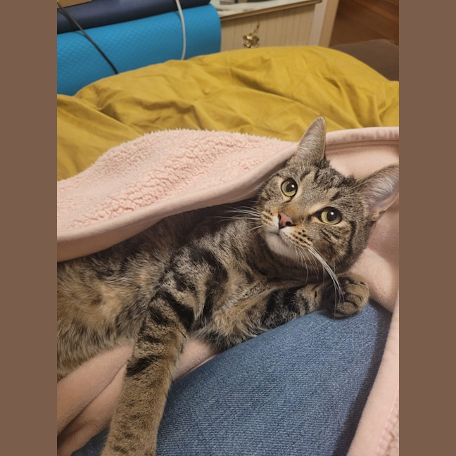 Photo of Tommy