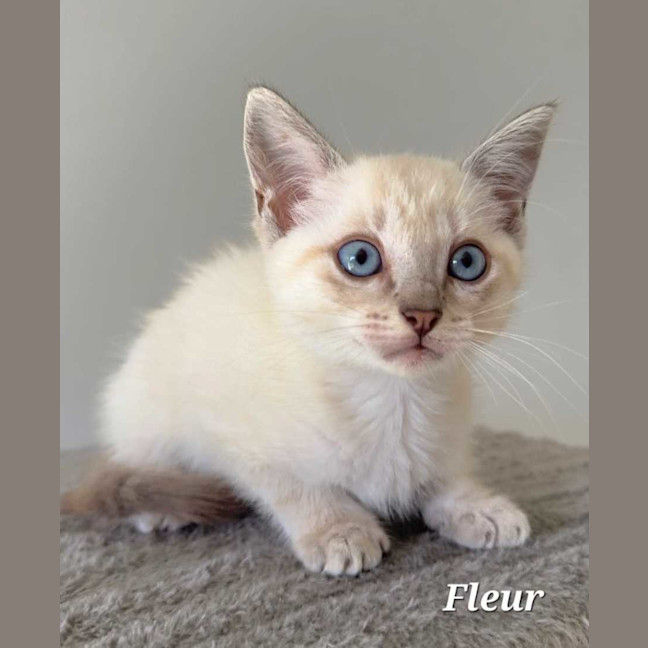 Photo of Fleur