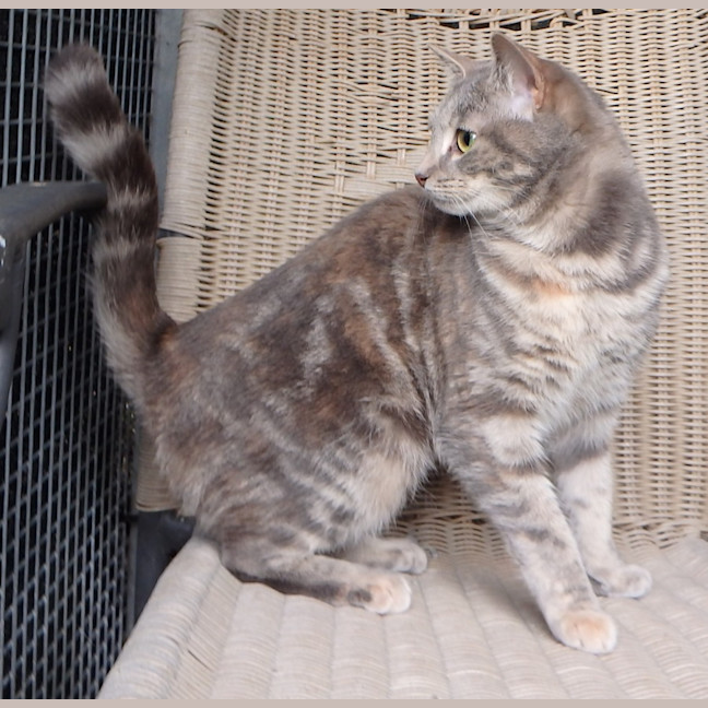 Photo of Fleur And Sky