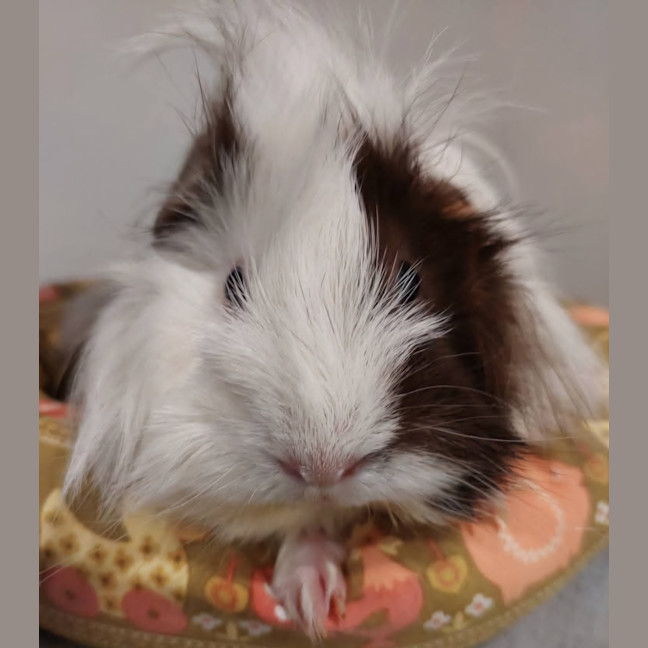 Photo of Jill