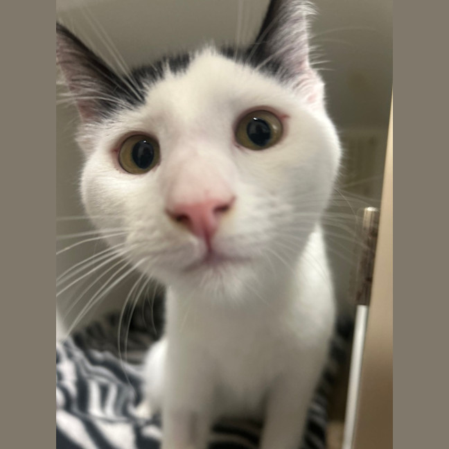 Photo of Wednesday