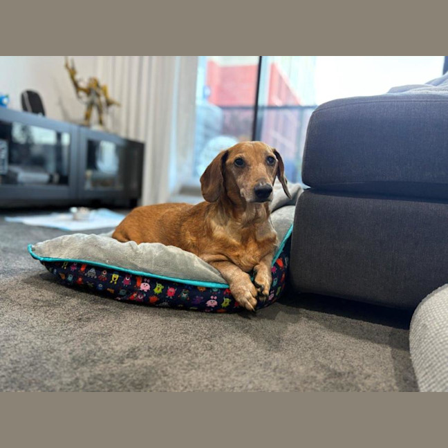 Photo of Hans Russelton