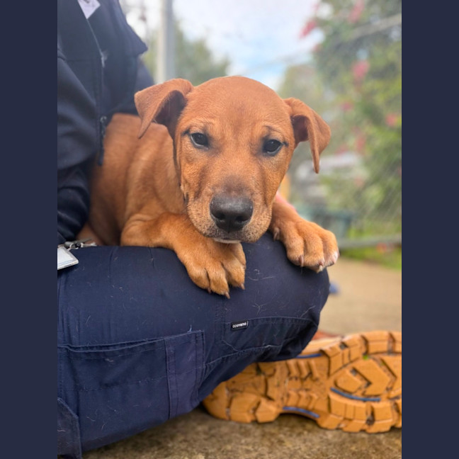 Photo of Charlie