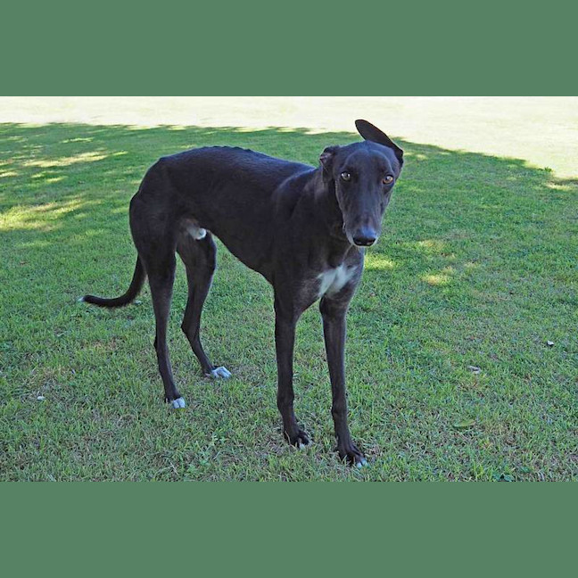 Photo of Diego