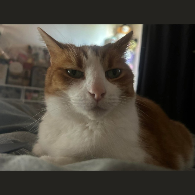 Photo of Charlie 