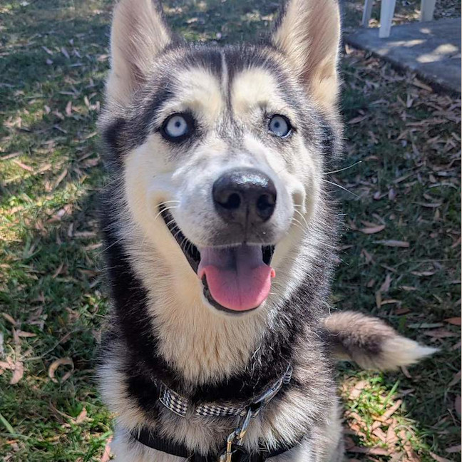 Photo of Storm