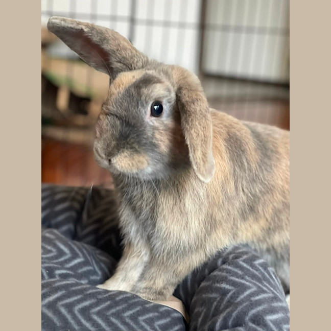 Photo of Monty