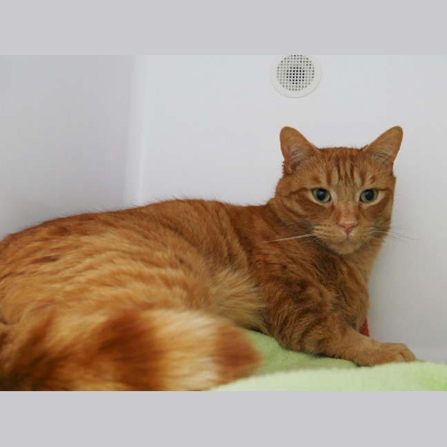 Photo of Antar Sua014348