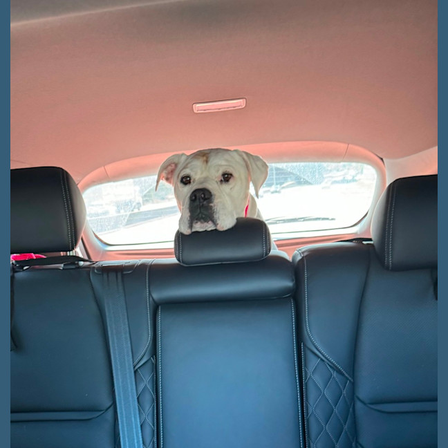 Photo of Lollylou