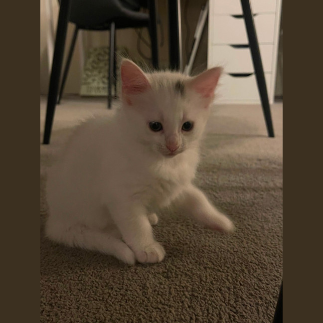 Photo of Minnie