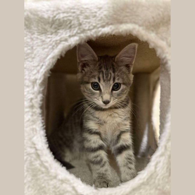 Photo of Eddie & Dot