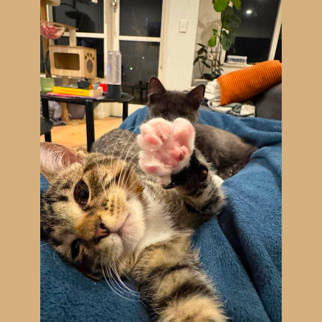 Photo of Fumo & Geez