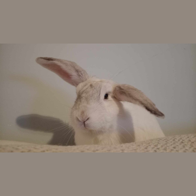 Photo of Adorable Piotr