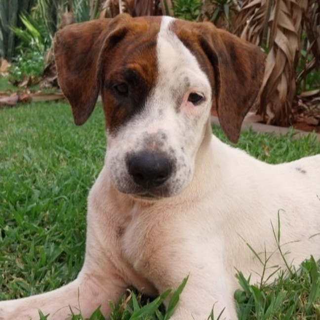 Photo of Norton