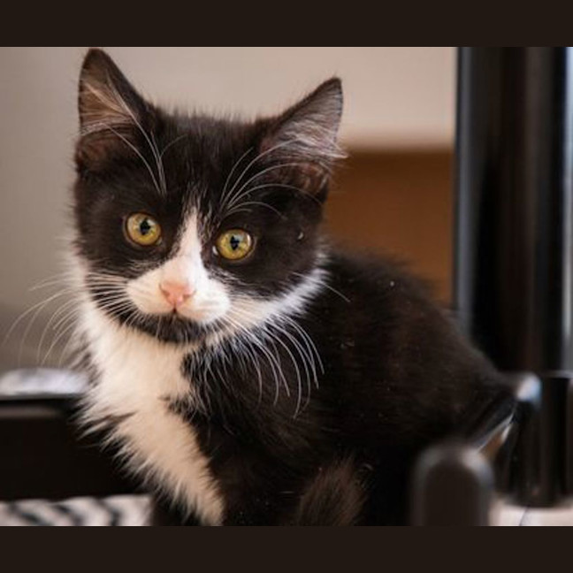 Photo of Tofu