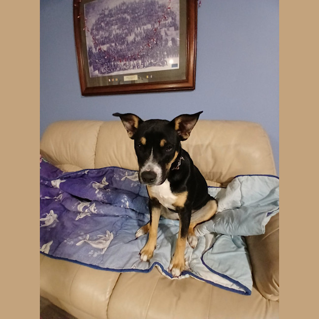 Photo of Remy