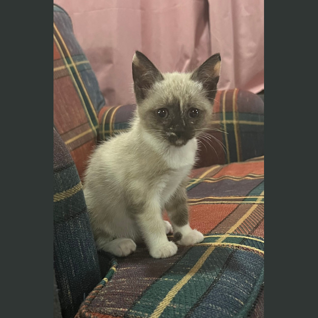 Photo of Riff