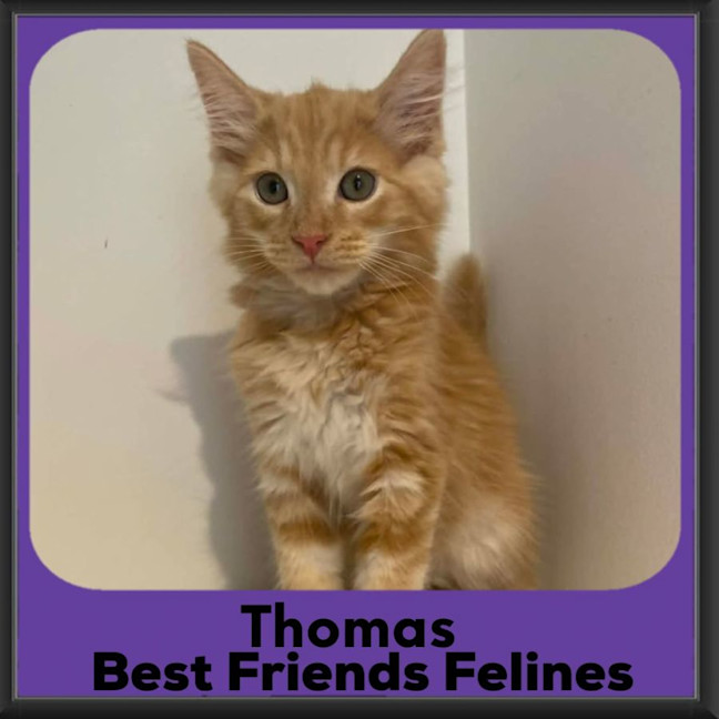 Photo of Thomas