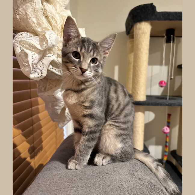 Photo of Freddie Aka Freaking Freddie