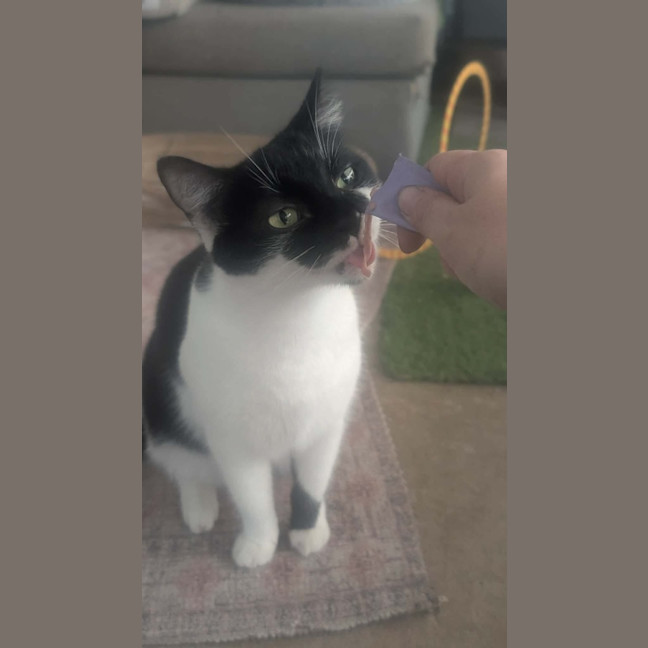 Photo of Angel