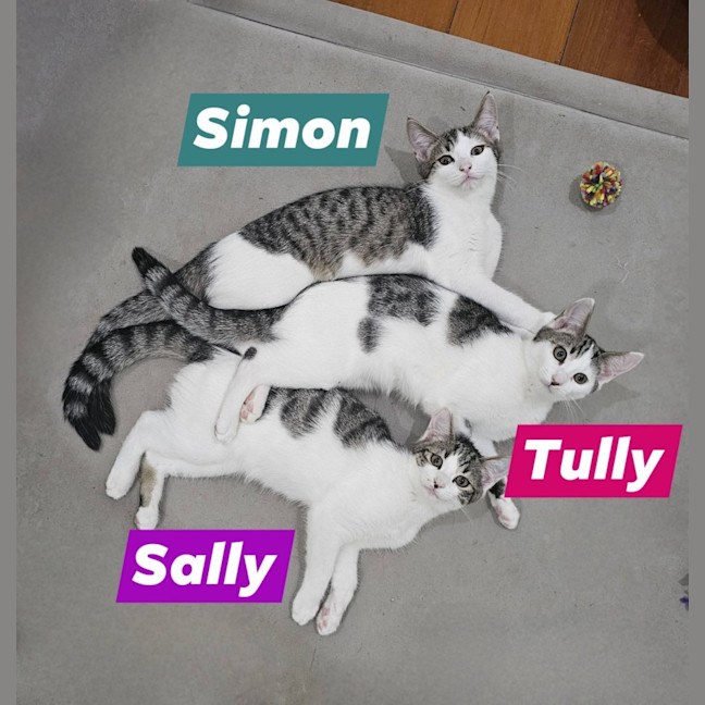 Photo of Sally
