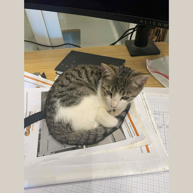 Photo of Vegemite (Located 50k North Of Melb Cbd)