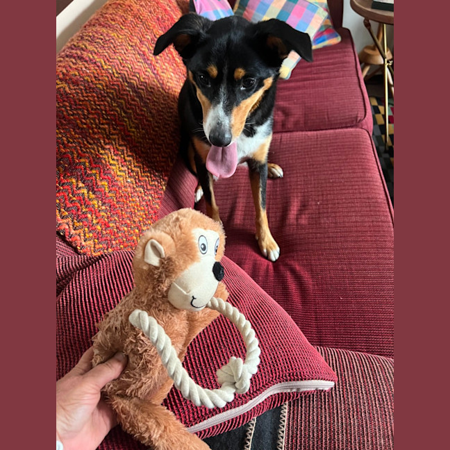 Photo of Molly