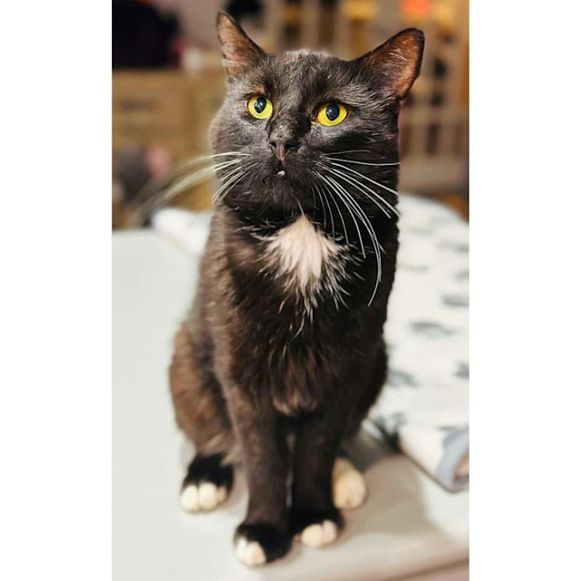 Photo of 11527   Wally