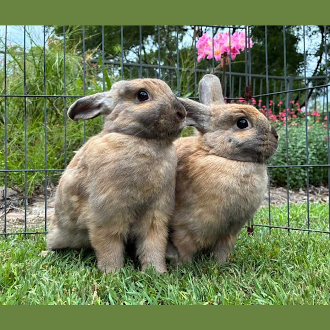 Photo of Belle And Jasmine