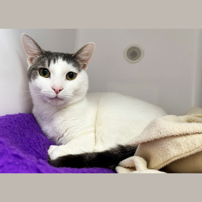 Photo of Drew Sua013528