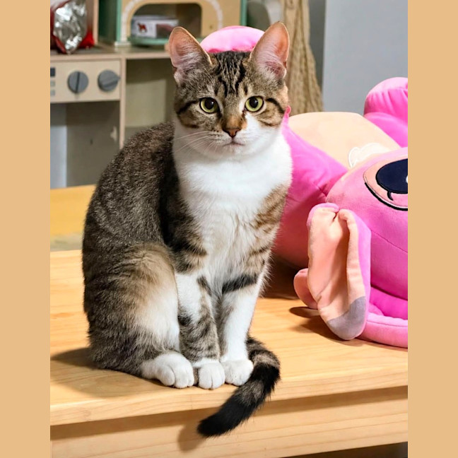 Photo of Mia