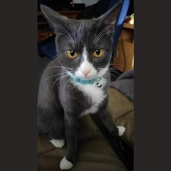 Photo of Lucy