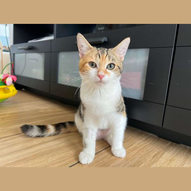 Photo of Parker