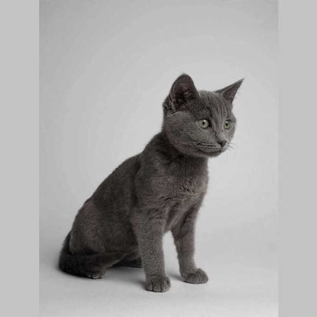 Photo of Stanley