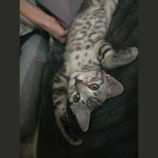 Photo of Eli