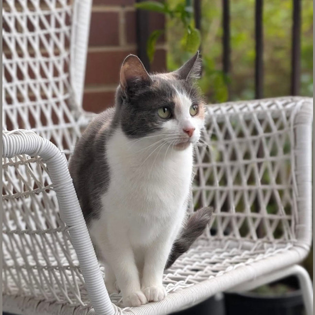 Photo of Mabel