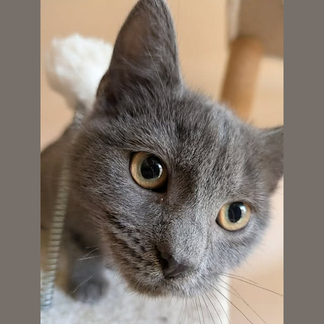 Photo of Greta